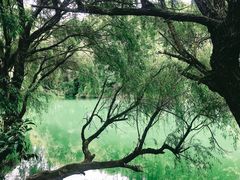 -贵阳市花溪国家城市湿地公园