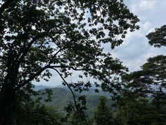 -黄埔油麻山森林公园