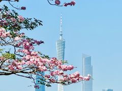 -海珠湖公园