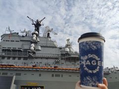 -泰达航母主题公园