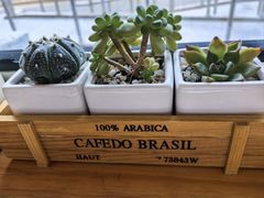 -Cafe Villa