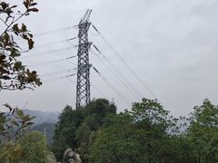 -南山植物园