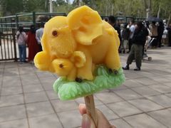 -秦皇岛野生动物园