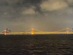 -武汉两江游览·夜游长江(汉口粤汉码头)