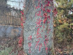 -北京鹫峰国家森林公园