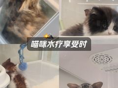 -观音桥步行街