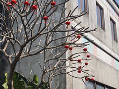 -天后宫民俗文化街