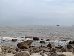 -野狸岛