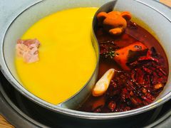 -青瓷火锅料理(西单大悦城店)