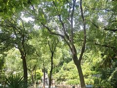 -白沙古井