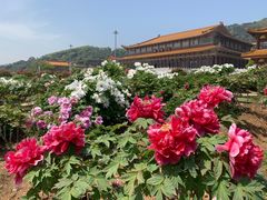 -灵山胜境