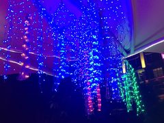 -广州花之恋城堡酒店