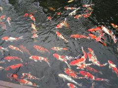 -白鹭湾湿地公园