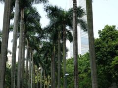 景点-广州珠江公园