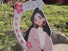-高东镇樱花园