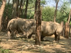 -北京野生动物园