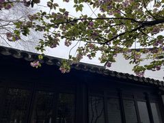 -南京市民俗博物馆(甘熙故居)