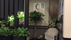 -史云逊养发护发