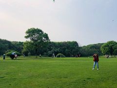 -艾溪湖湿地公园