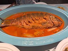 -阿五黄河大鲤鱼(英协路店)