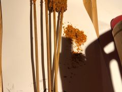 小牛肉-马邦子·紫苏烤鱼(恒隆广场店)