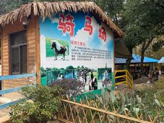 -合肥野生动物园