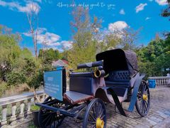 -金庭庄园酒店-停车场