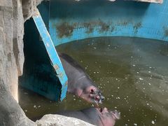 -新疆天山野生动物园