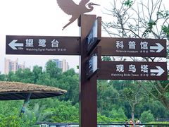 -大亚湾红树林城市湿地公园