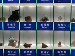 -中国地质博物馆