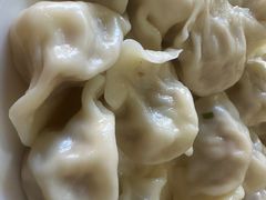 猪肉茄子馅儿饺子-启子大馅饺子
