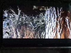 -国家会展中心（上海）虹馆EH