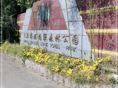-日照海滨国家森林公园