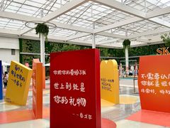 -国芳中心
