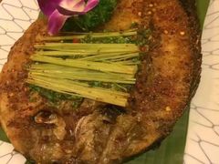 -紫滇源云南生态菜(丹凤街店)