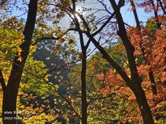 -关门山森林公园