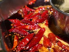 -蜀九香火锅(园艺山店)