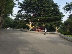 -青岛德国总督楼旧址博物馆