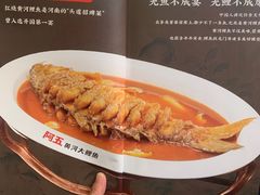 -阿五黄河大鲤鱼(英协路店)