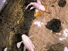 -正佳雨林生态植物园
