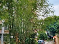 -广东外语外贸大学(白云山校区)