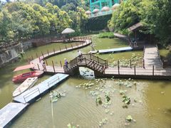 -珠海圆明新园