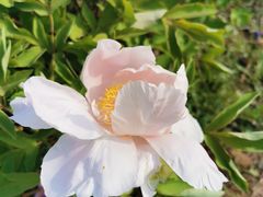 -济南国际园博园