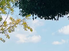 -迪士尼小镇