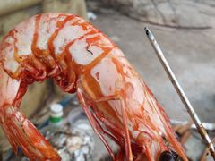 -西涌国际滨海旅游区