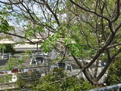 -城市运动公园(未央区)
