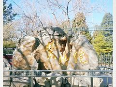 -紫竹院公园-东门停车场