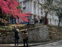 -武汉大学图书馆·文理学部总馆