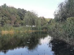 -花溪公园