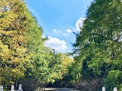 -上海海湾国家森林公园